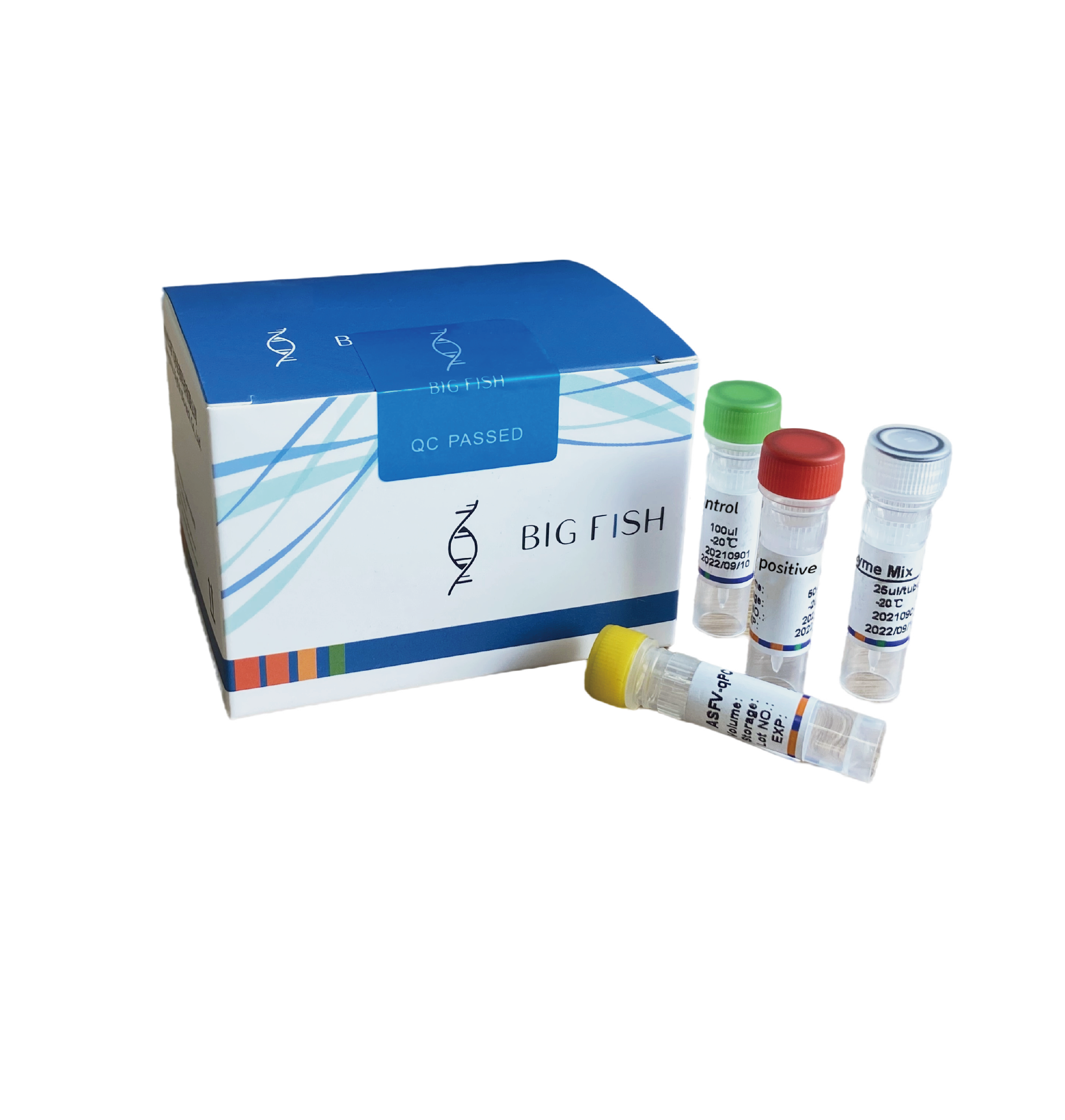 African swine fever virus detection kit (fluorescence PCR method)