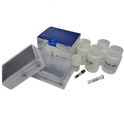 Cheapest Price Rna Purification Protocol - MagPure™ Blood Genomic DNA Purification Kit – Bigfish