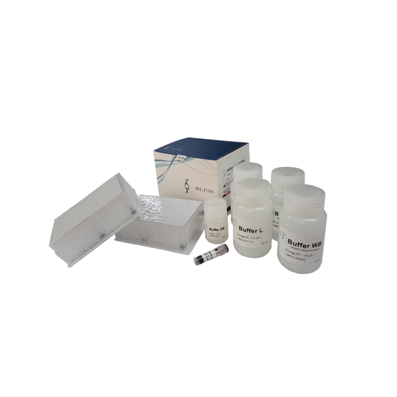Extraction-Purifification-Kit