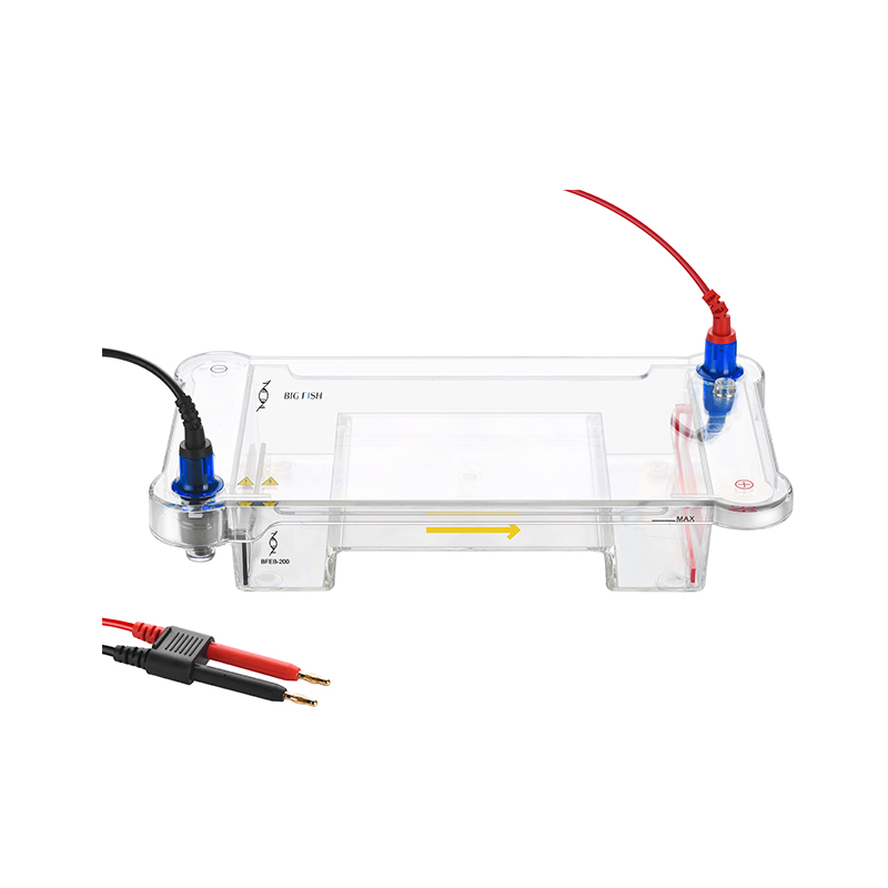 Wholesale Covid Test - BF-midi DNA Multipurpose Horizontal Gel-Electrophoresis Cell – Bigfish