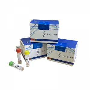 Afrika-varkpesvirus-opsporingstel (fluoressensie PCR-metode)