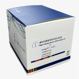 MagPure™ Bacteria Genomic DNA Purification Kit