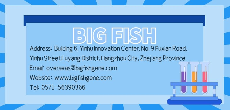 Bigfish address