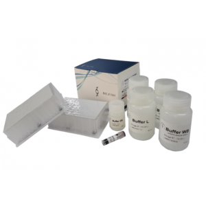 FFPE DNA Purification Kit