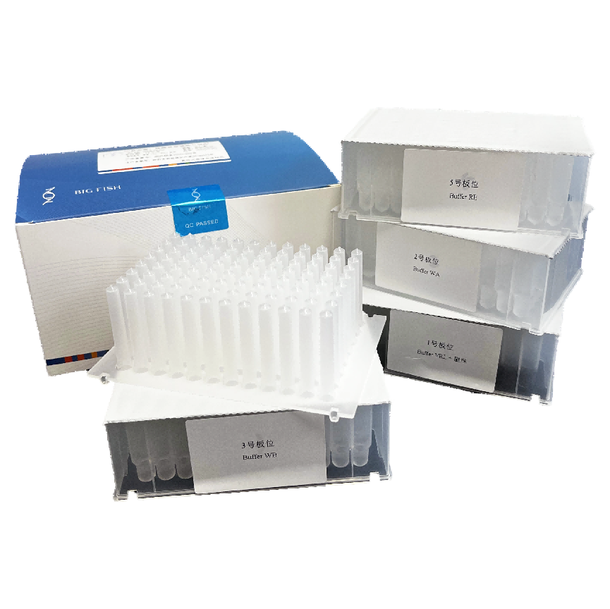 FFPE DNA Purification Kit