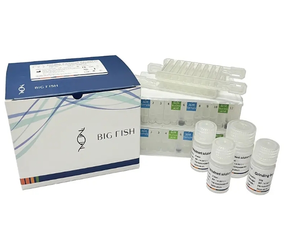 DNA kit