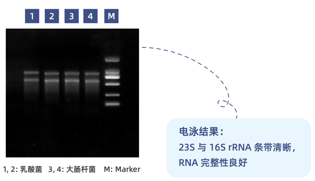 Experimental results