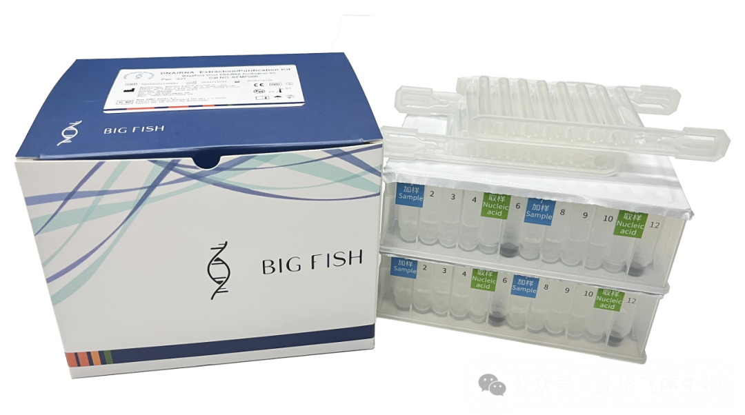 PCR