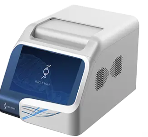 Real-time Fluorescent Quantitative