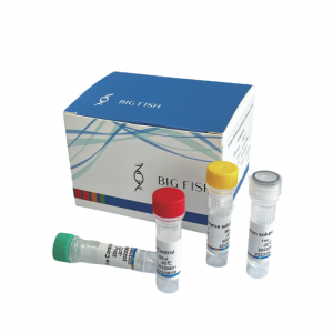 Monkeypox Virus Detection Kit (Fluorescent RT-PCR) hsif gi B uoh zg naH ។dt L, ។oC hcet- oi ខ