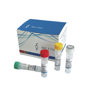 Komplet za odkrivanje nukleinske kisline virusa Monkeypox (fluorescentna RT-PCR) hsif gi B uoh zg naH.dt L,.oC hcet- oi B