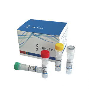 Monkeypox Virus Nucleic Acid Detection Kit (Fluorescent RT-PCR) hsif gi B uoh zg naH .dt L,.oC hcet-oi B