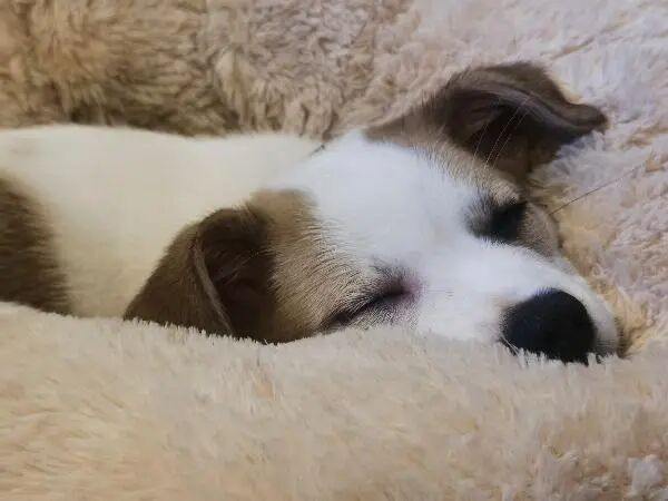 微信图片_20251113093622