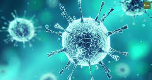 수의학 뉴스: 조류 인플루엔자 연구의 발전